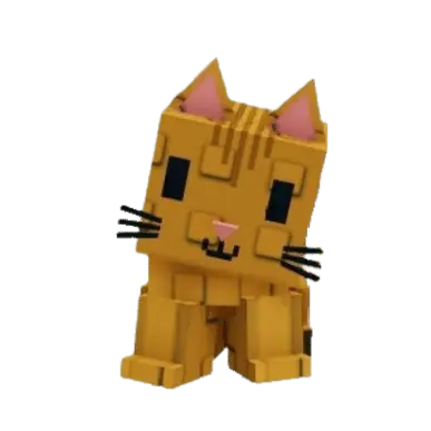 Orange Tabby